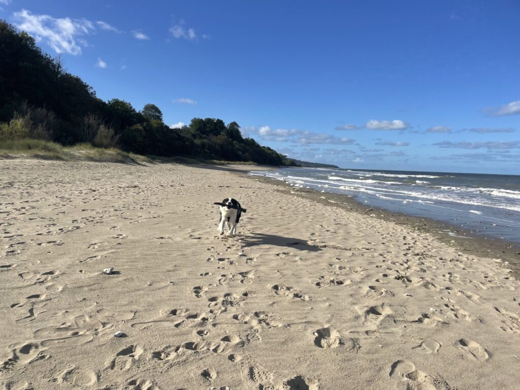 family gite group normandie location honfleur calvados activities surroundings