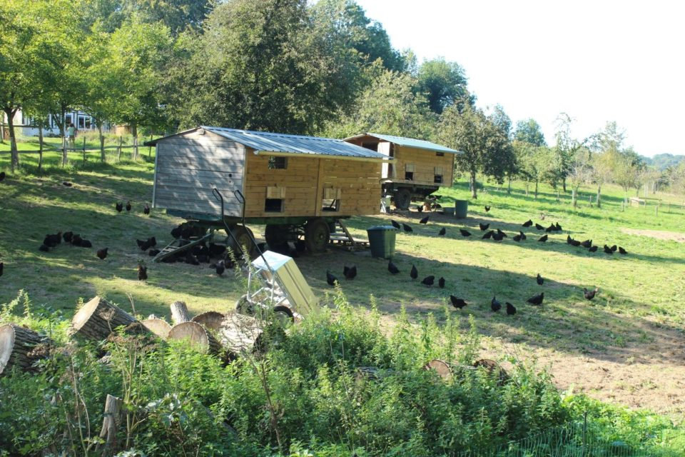 ferme des cocottes 2 960x640