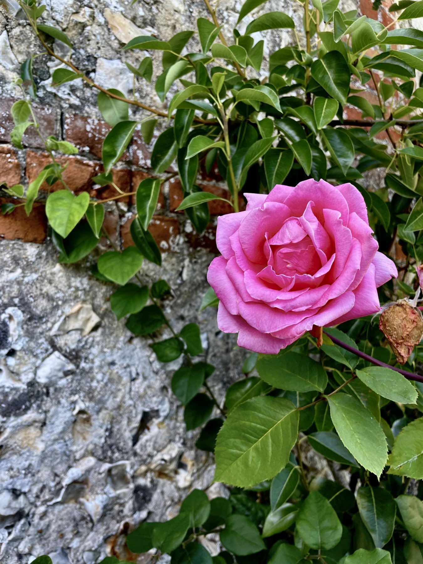 gite groupe normandie calvados location honfleur familial