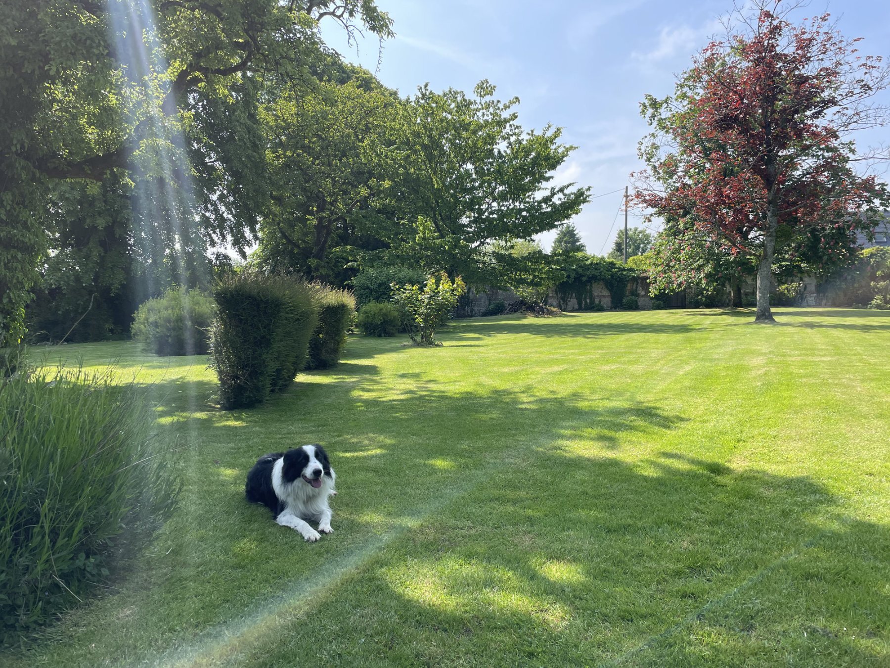 jardin 3 fresnes location honfleur gite groupe normandie calvados 1